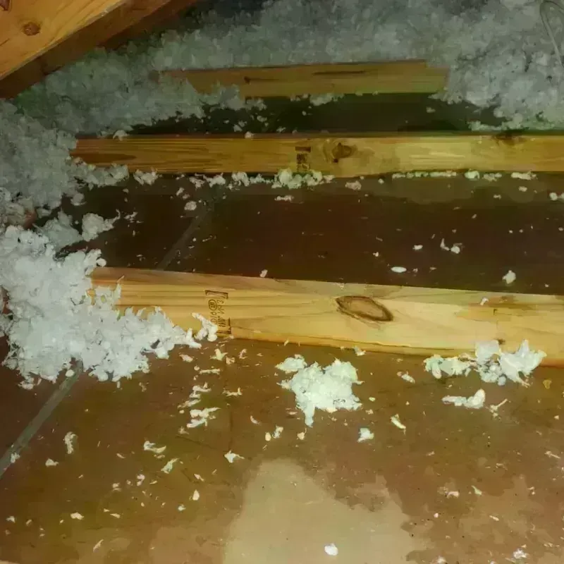 Attic Water Damage in Hot Springs County, WY