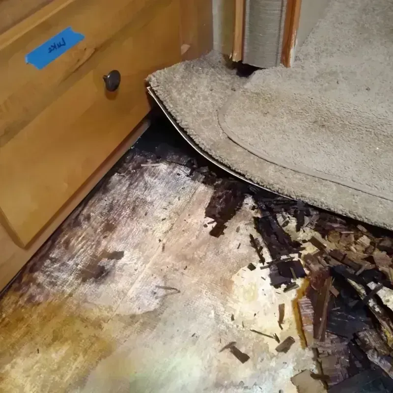 Wood Floor Water Damage in Hot Springs County, WY